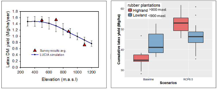 Effect of elevation on rubber latex yield under climate change scenarios